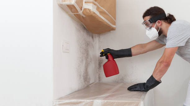 Professional Mold Remediation technician working in Cross Fork, PA